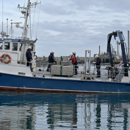 A02 - Ship Hydrostatics and Stability Foundations